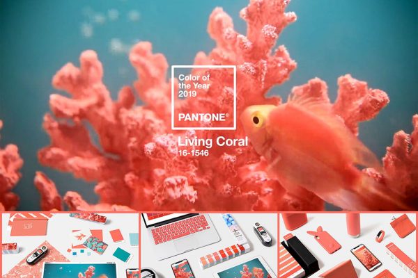 Pantone bình chọn “Living Coral” là màu sắc của năm 2019